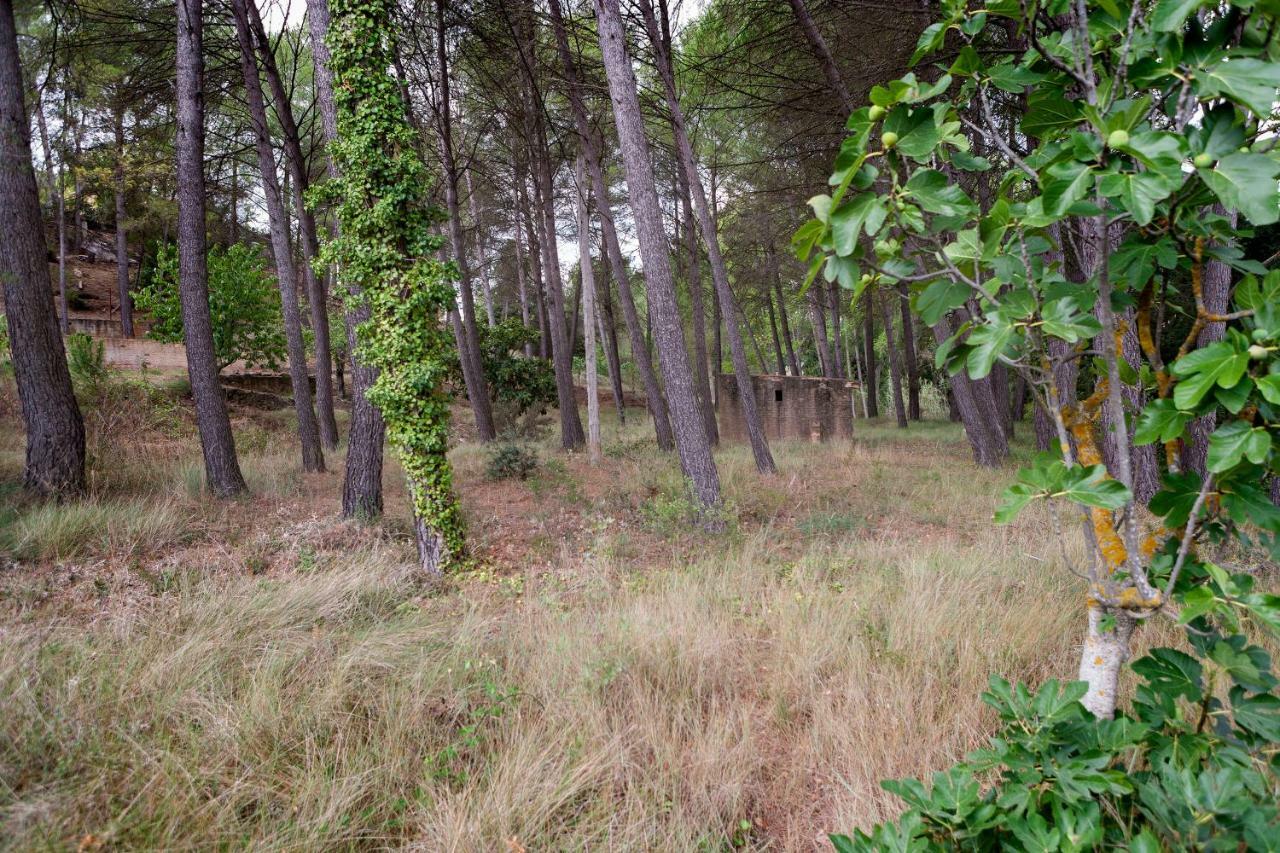 Rural Kairos "Un Espacio Con Alma" Siete Aguas Exteriér fotografie
